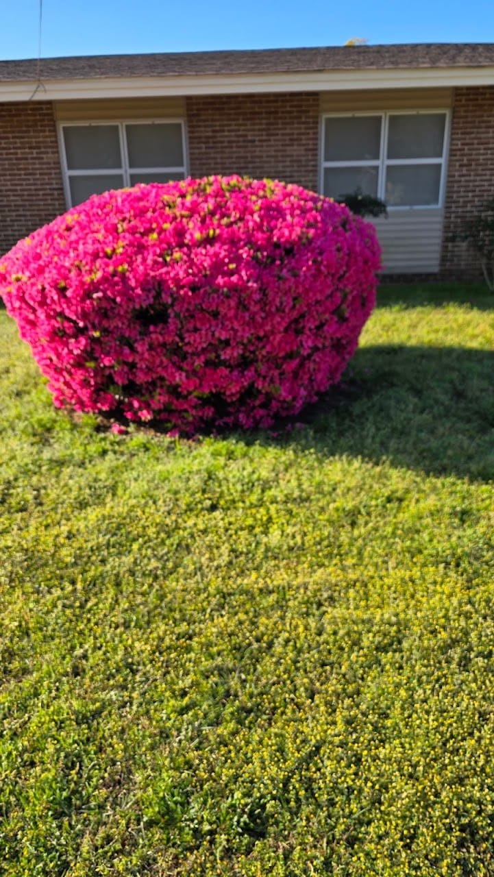 Photo of Housing Authority of the City of Brewton. Affordable housing located at 201 WASHINGTON Circle BREWTON, AL 36426