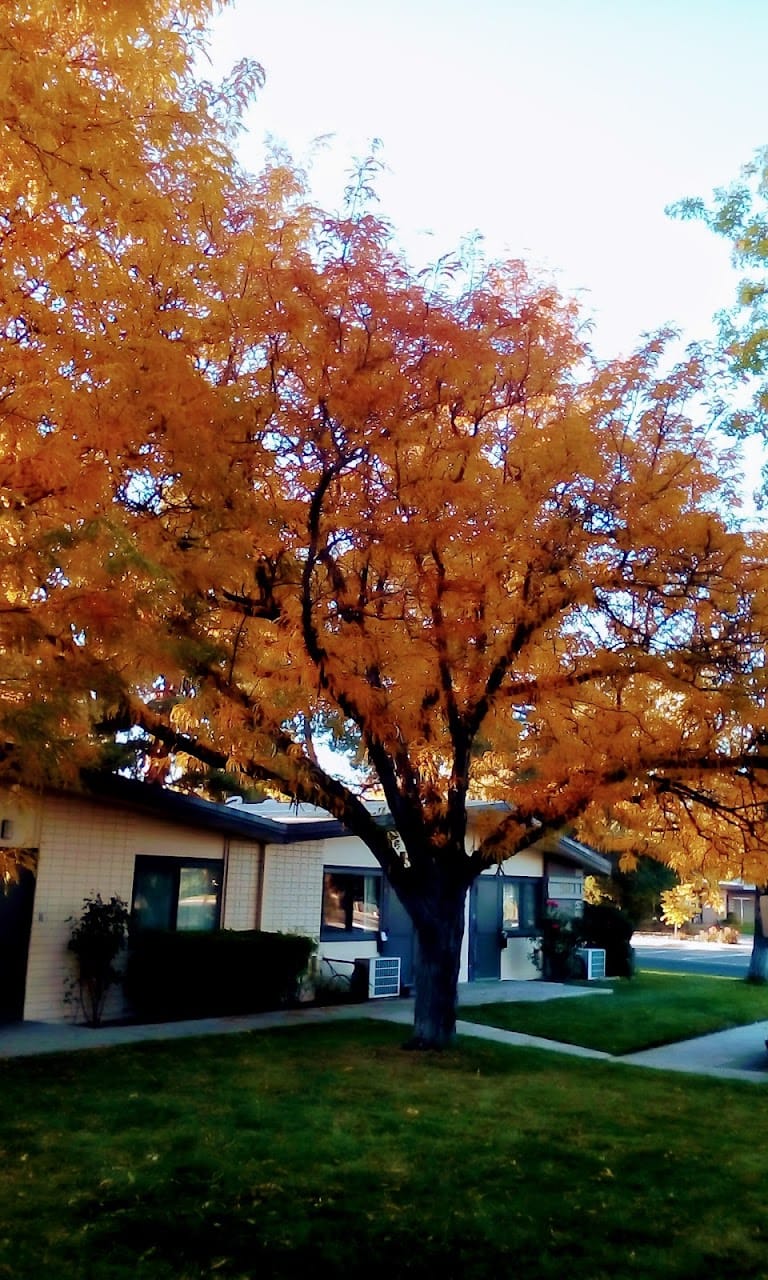 Photo of CITY OF RENO HOUSING AUTHORITY. Affordable housing located at 1525 E 9TH Street RENO, NV 89512