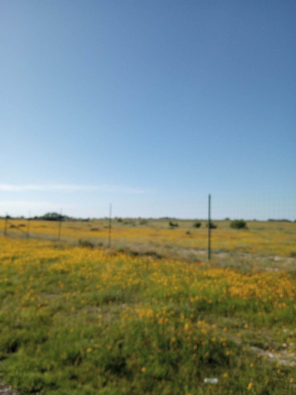 Photo of Housing Authority of Brady at 405 East Main Street BRADY, TX 76825