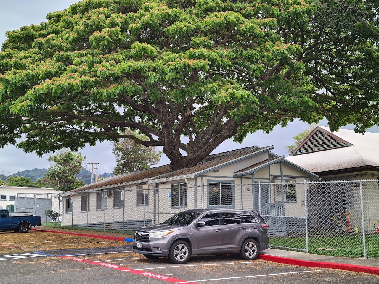 Photo of Hawaii Public Housing Authority. Affordable housing located at 1002 N. School Street HONOLULU, HI 96817