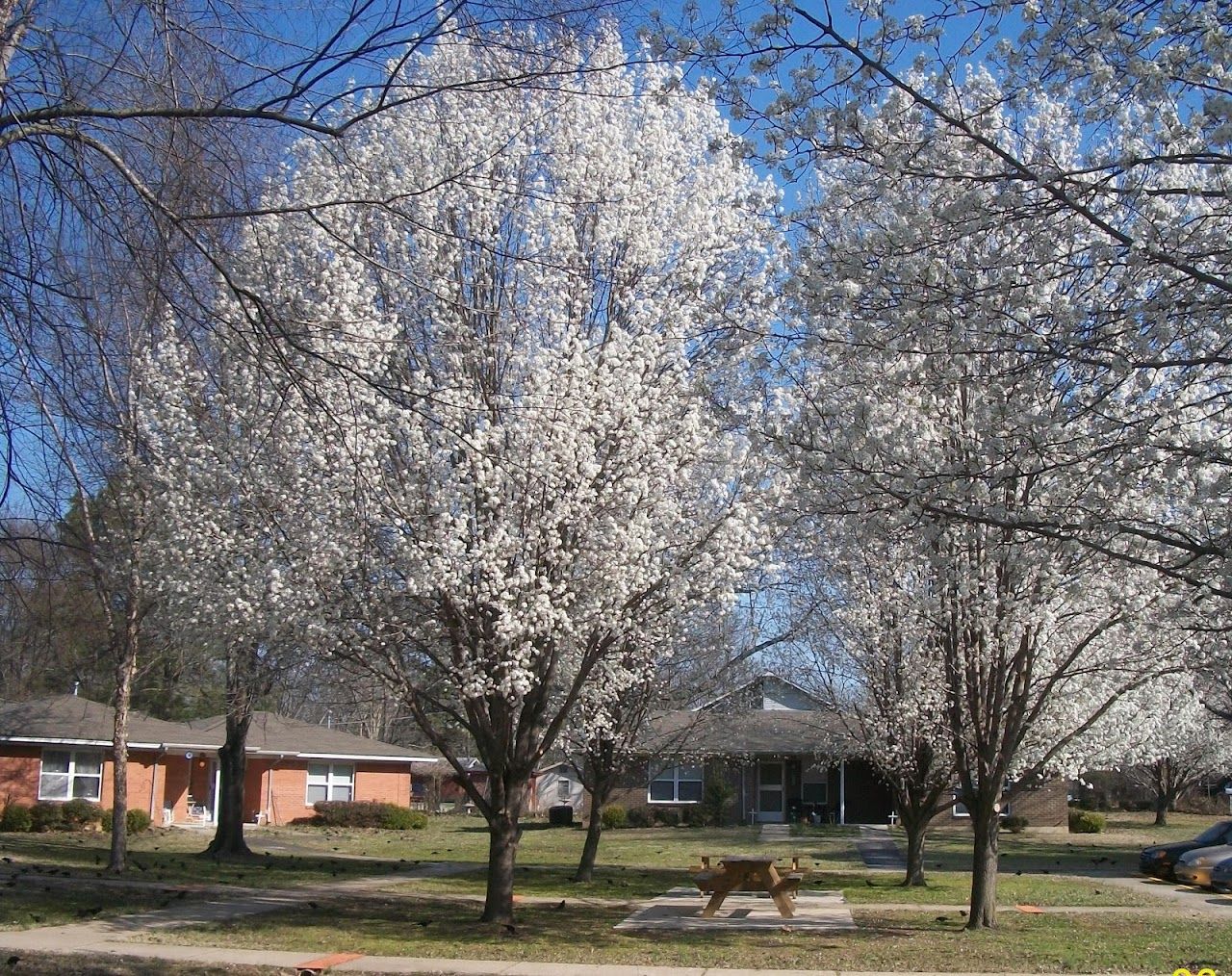 Photo of Housing Authority of the City of Judsonia. Affordable housing located at 1301 WADE AVE. JUDSONIA, AR 72081